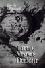 Little Visible Delight